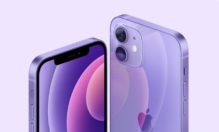 九所镇苹果手机维修分享紫色版iPhone 12有什么技术亮点 